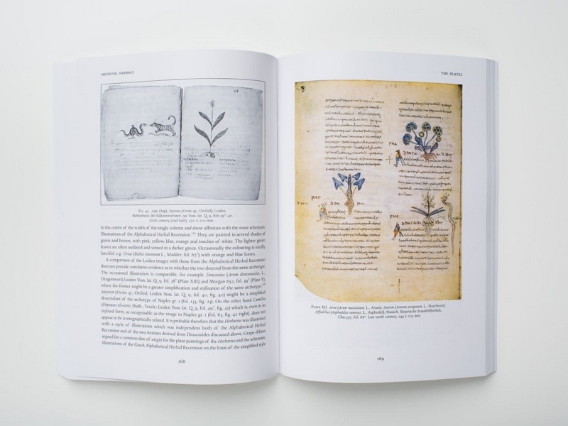 How To Ensure The Color Accuracy Of Book Printing？