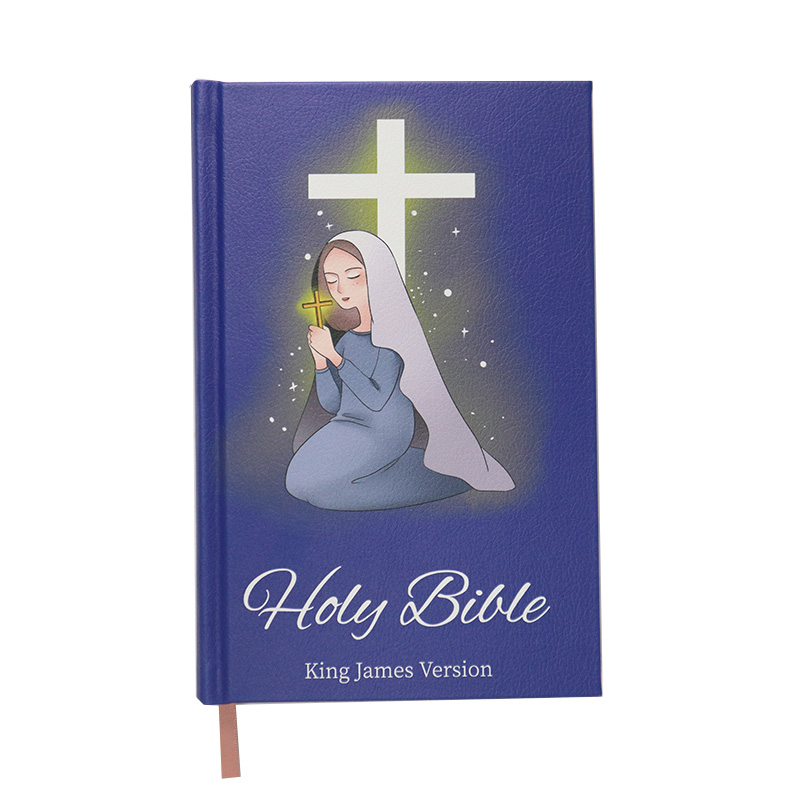 ODM Profesional New Living Translation Study Bible Large Print Bulk