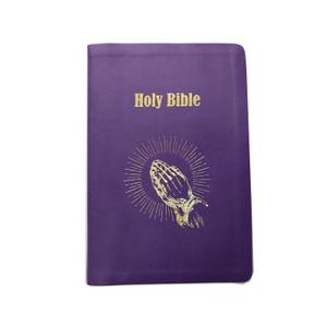 Innovative Design Pu Leather Holy Bible Study Book Modern English Holy Bible