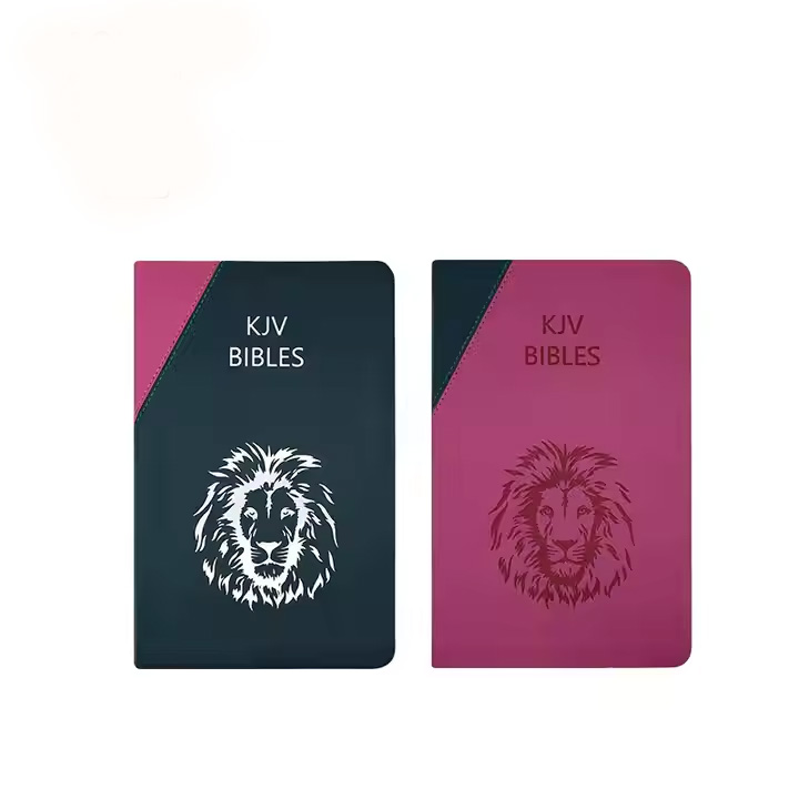 Hot Selling Customized ODM KJV Bible Classic Kids Bible Book Cover Wholesale