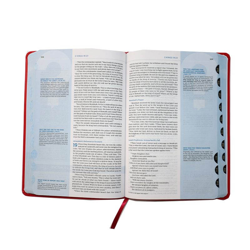 New Styles Custom Four Color Printing Cover Soft Pu Leather Reina Valera 1960 Bible Book Printing