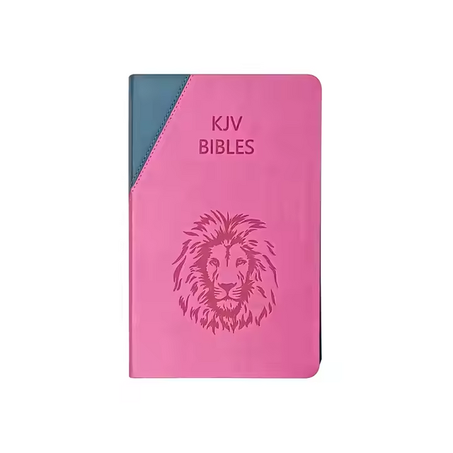 Hot Selling Customized ODM KJV Bible Classic Kids Bible Book Cover Wholesale