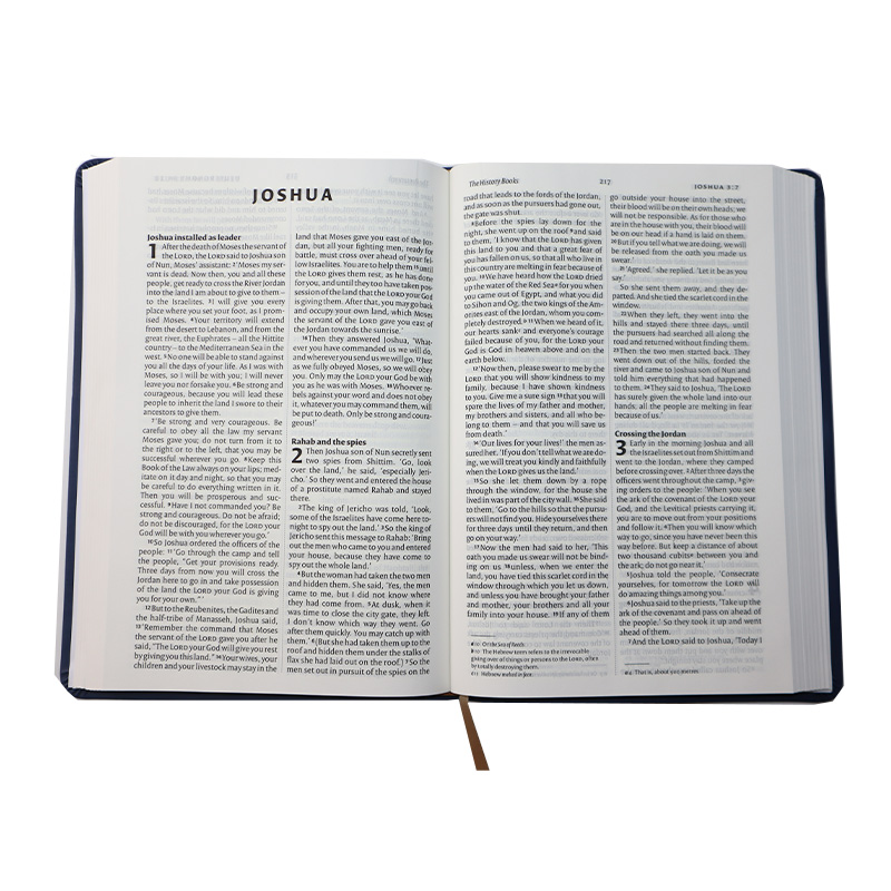 High Quality Embroidery Gift Size Holy Bible Leather Bound Pink Holy Bible Biblia with English Translation