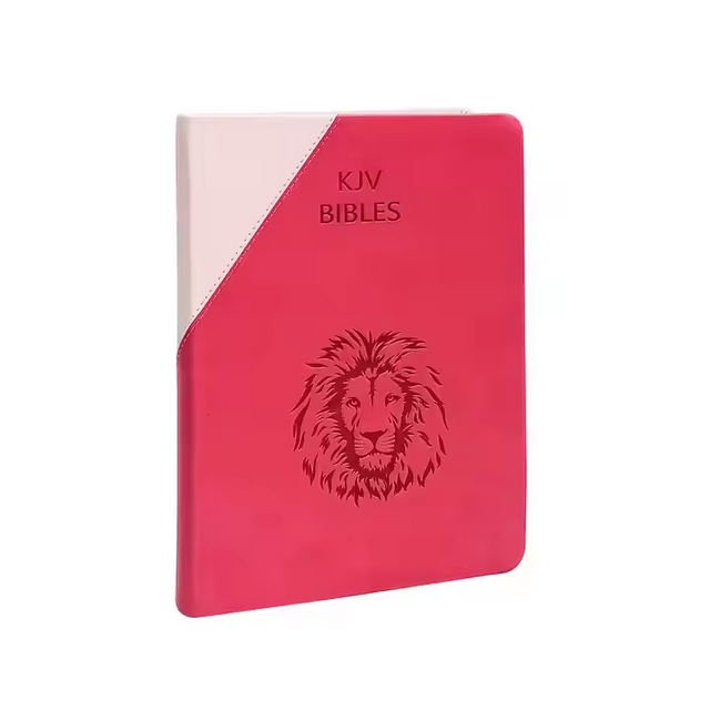 Hot Selling Customized ODM KJV Bible Classic Kids Bible Book Cover Wholesale