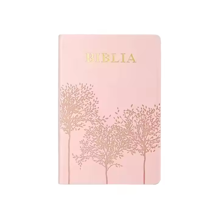 Manufacturer Customized Silver Foiling Soft PU Leather Cover Thumb Index English Spanish Bible